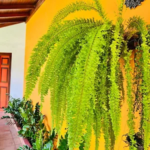 Bed & Breakfast Breeze Of Paradise