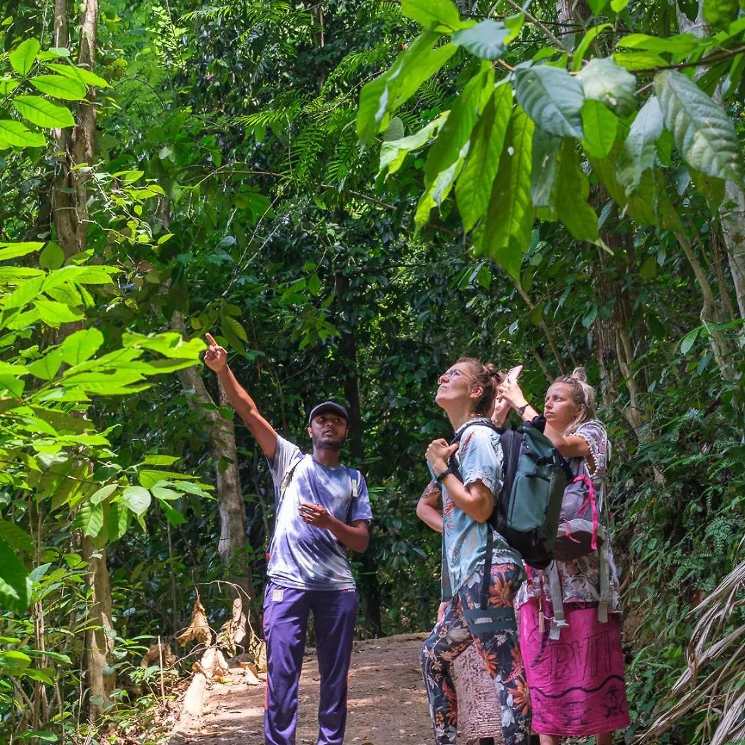 Polwaththa Eco Lodges Digana